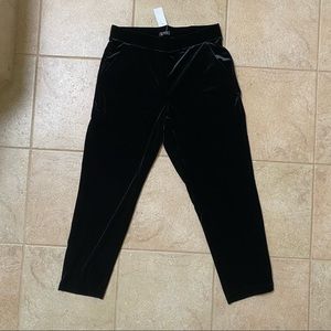 Loft Velvet Tapered Pull On Pants- Size M